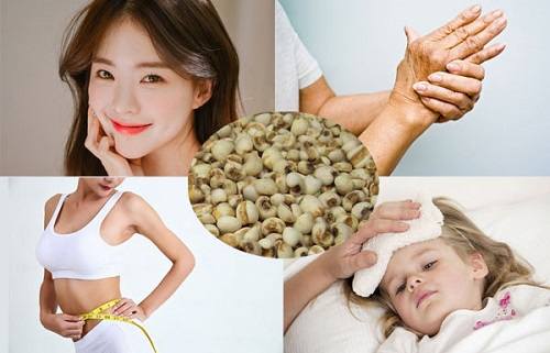 Công dụng của ý dĩ