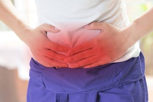 Lợi ích của tiểu hồi đối với sức khỏe Lợi ích của tiểu hồi đối với sức khỏe