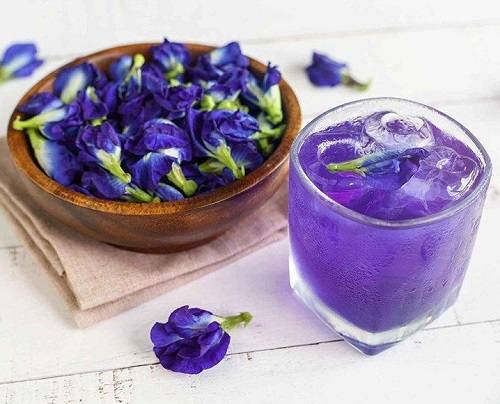 Cách pha trà hoa đậu biếc tươi Cách pha trà hoa đậu biếc tươi