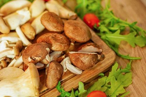 Công dụng của nấm đông cô