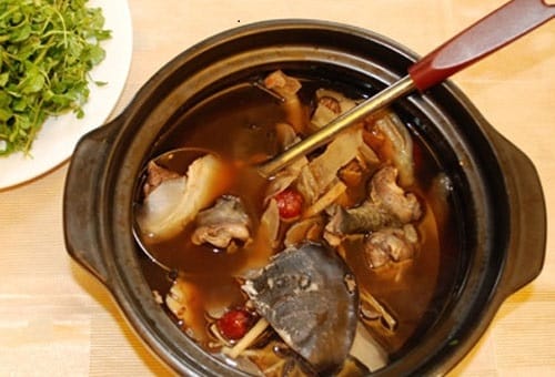 Ba ba hầm bối mẫu Ba ba hầm bối mẫu