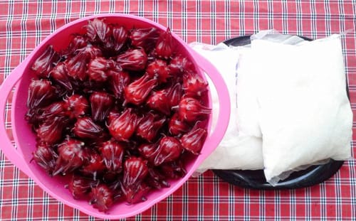 Atiso và đường 