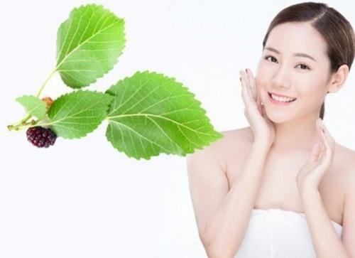 Làm đẹp da từ lá dâu tằm