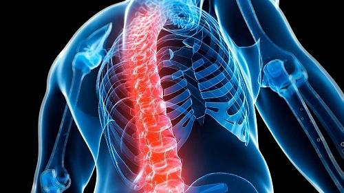 Lá hương thảo giảm đau nhức