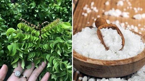 Rửa mặt từ lá khế chua