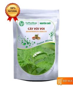 Cây vòi voi tại Tấn Phát