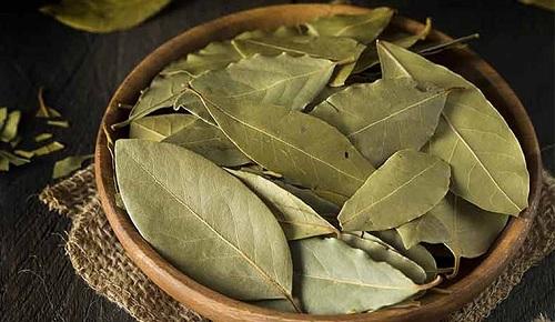 Lá nguyệt quế có ăn được không?