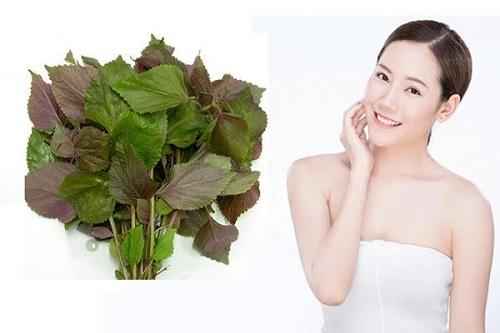 Công dụng làm đẹp da từ lá tía tô