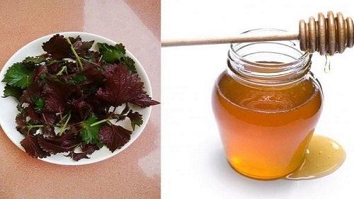 Mặt nạ lá tía tô với mật ong