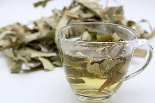 Cách uống lá sen giảm mỡ máu hiệu quả