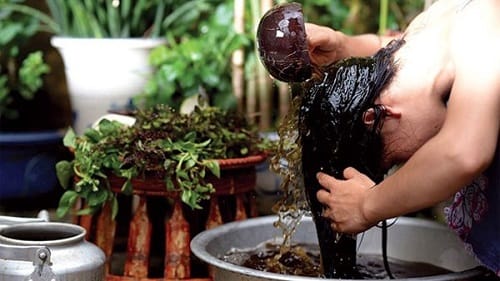 Gội đầu bằng nước bồ kết