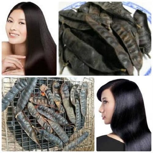 Công dụng của bồ kết đối với mái tóc