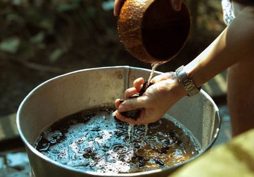 Nước bồ kết gội đầu