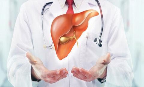 Vì sao trà nụ vối giúp mát gan
