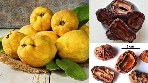 Công dụng của quả mộc qua