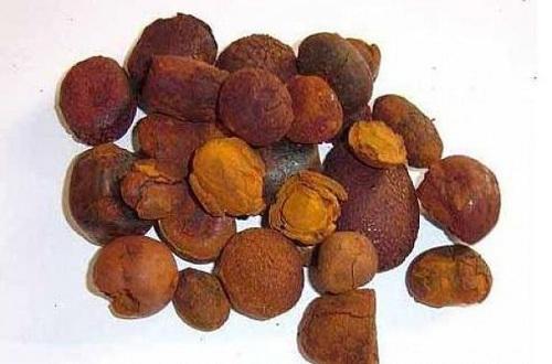 Bài thuốc trị bệnh từ ngưu hoàng