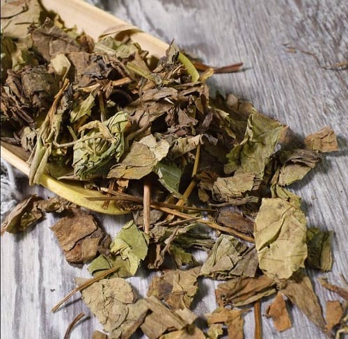 Cách sử dụng rau diếp cá Cách sử dụng rau diếp cá