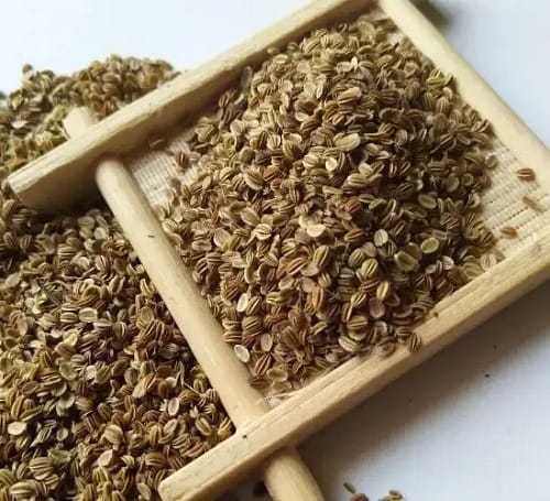 Dược liệu khô xà sàng tử