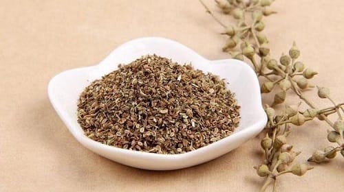 Xà sàng tử đã được sấy khô