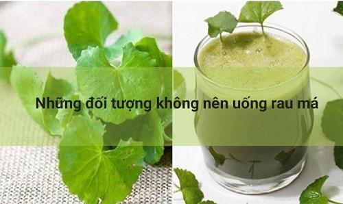 Những đối tượng không nên uống nước rau má