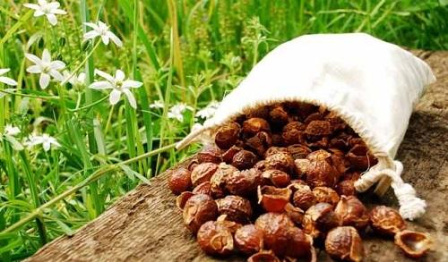 Cách làm nước giặt quần áo từ bồ hòn