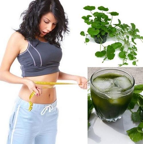 Rau má giúp giảm cân