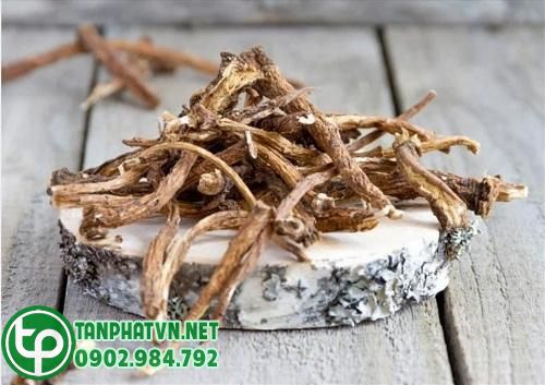 Rễ bồ công anh