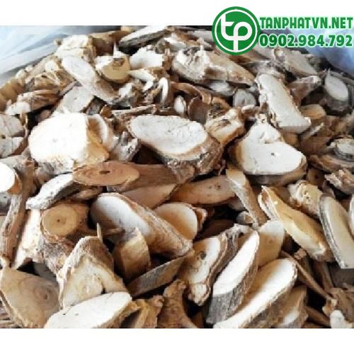 Rễ đinh lăng tại Tấn Phát