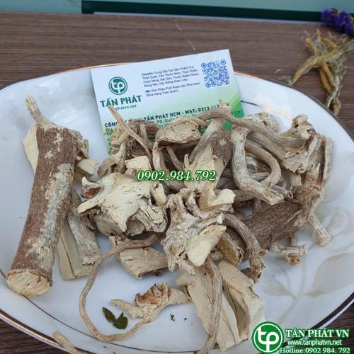 Giá bán rễ đinh lăng bao nhiêu tiền 1kg?