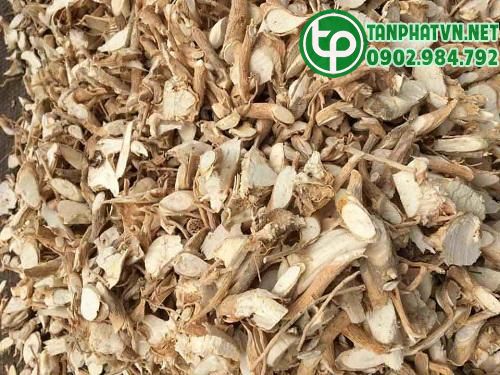 Bài thuốc từ rễ đinh lăng