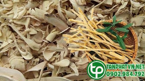 Rễ xáo tam phân có tác dụng gì?