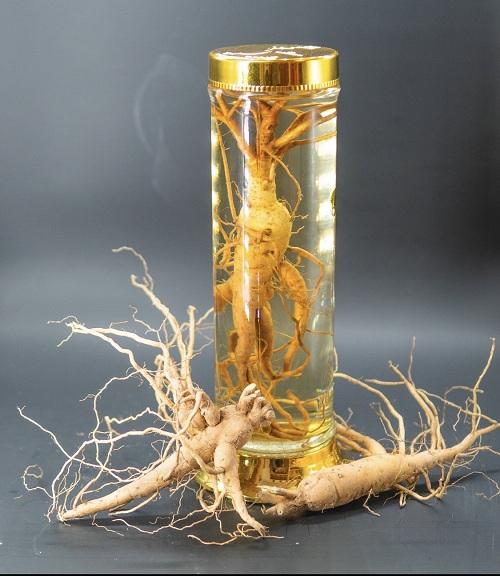 Rượu sâm bố chính