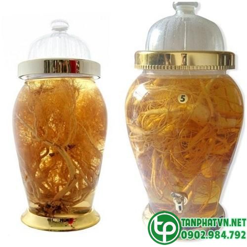 Cách ngâm rượu rễ xáo tam phân