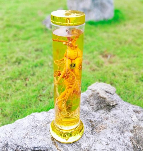 Tác dụng của rượu sâm bố chính