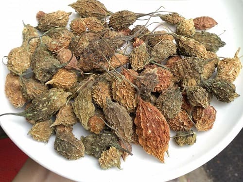 Khổ qua rừng sấy khô nguyên trái uy tín