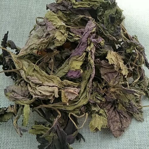 Địa chỉ bán lá tía tô uy tín