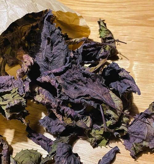 Lá tía tô khô nguyên chất