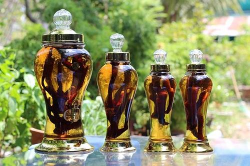 Cách ngâm rượu thiên niên kiện