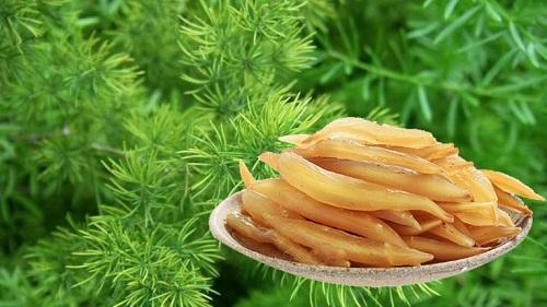 Tác dụng làm đẹp của thiên môn đông