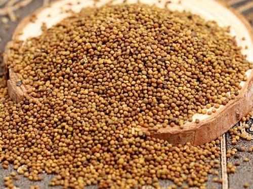 Công dụng của thỏ ty tử
