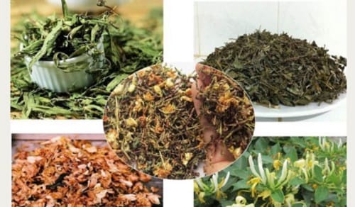 Sơn mật hồng sâm