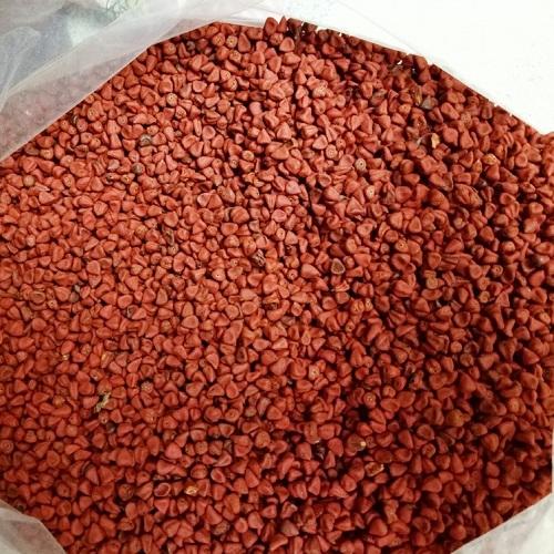 Tấn Phát cung cấp số lượng lớn hạt cà ri tại TP.HCM giá rẻ