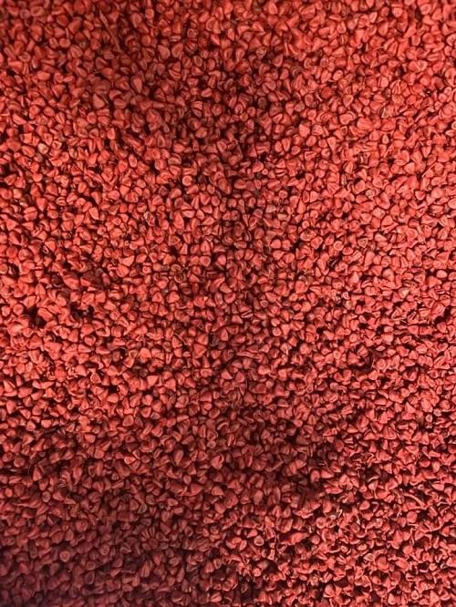 Tấn Phát - địa chỉ cung cấp sỉ hạt cà ri tại TP.HCM uy tín và chất lượng