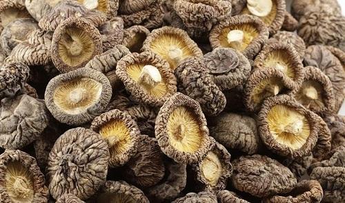 Giá bán sỉ nấm đông cô khô tại TP.HCM cho các đối tác