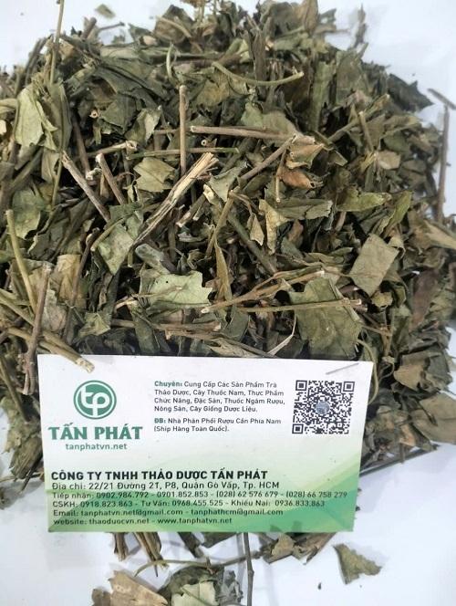 Dây thìa canh giá rẻ tại TP.HCM ở Tấn Phát