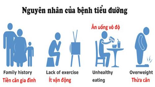 Nguyên nhân dẫn đến bệnh đái tháo đường