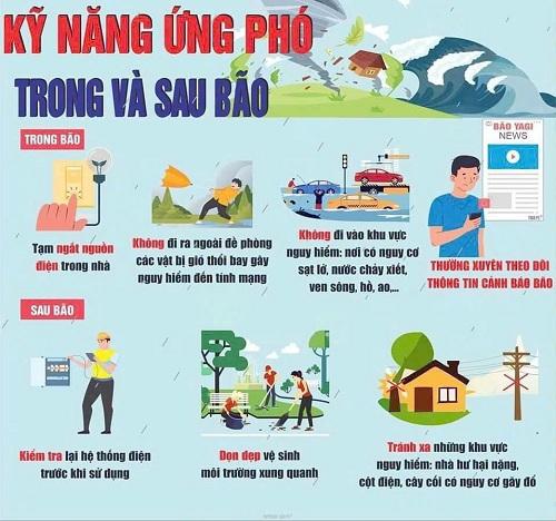 Phương án phòng tránh bão