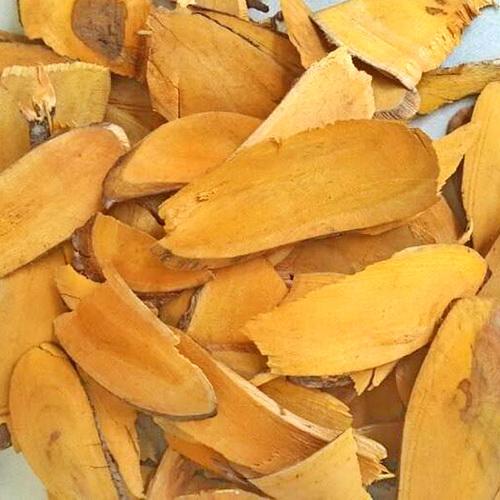 Mua rễ nhàu tại HCM uy tín và chất lượng