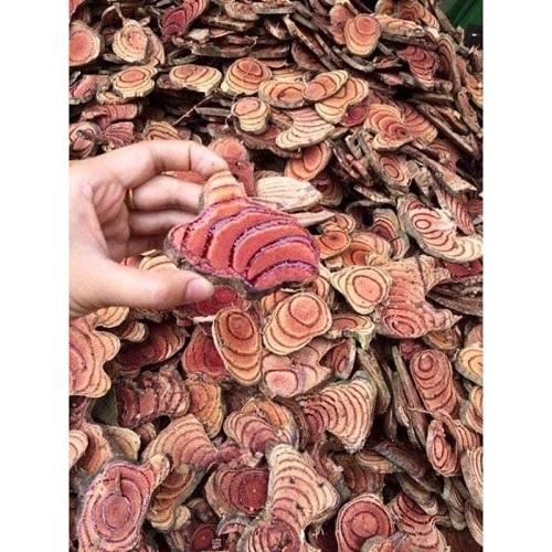 Lưu ý khi sử dụng cỏ máu an toàn