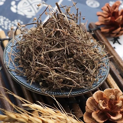 Bọ mắm chất lượng tại TP.HCM